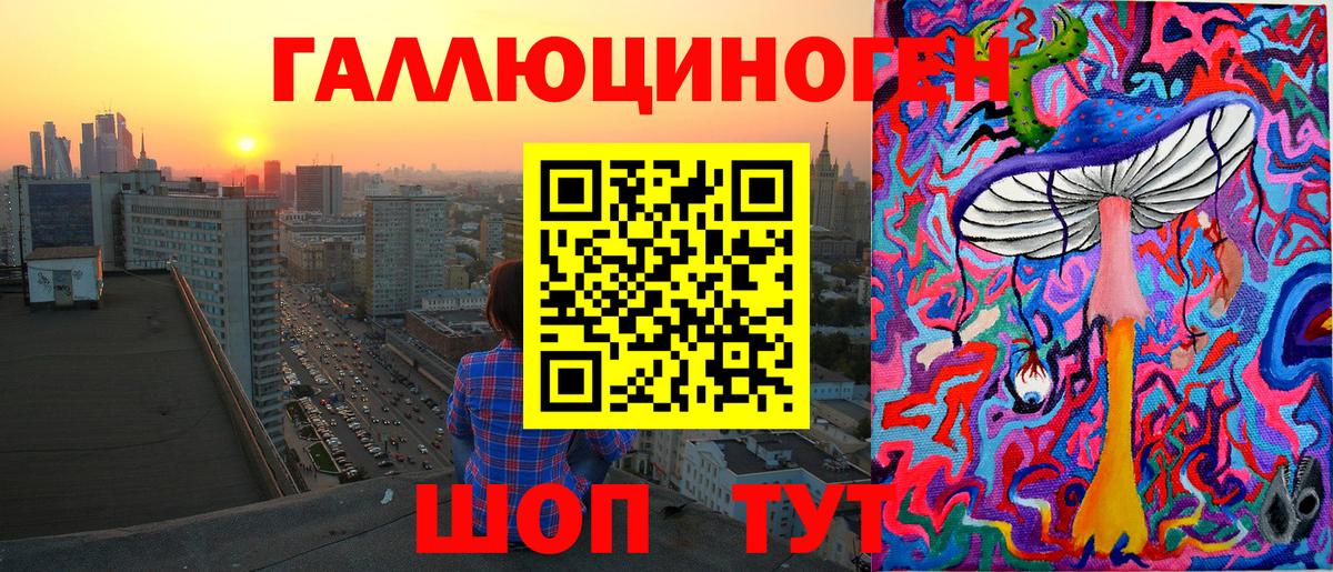 Псилоцибиновые грибы Psilocybe Зеленогорск